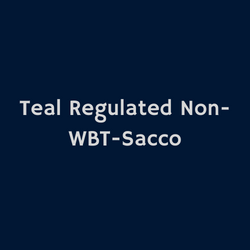 Teal Sacco